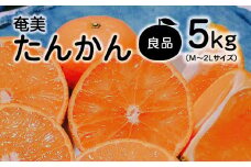 【2025年先行予約】奄美タンカン 良品 5kg（2L～Mサイズ）　A074-001