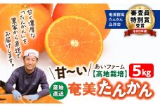 【2026年先行予約】【高地栽培】産地直送☆甘～い奄美たんかん 5kg　A054-001