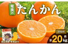 【2025年先行予約】奄美のたんかん家庭用20kg（皮むき器・情報誌付）　A052-024-01