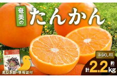 【2025年先行予約】奄美のたんかんお試し用2.2kg（むき器・情報誌付）　A052-025