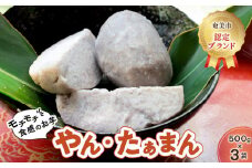 【奄美市認定ブランド】モチモチ食感のお芋「やん・たぁまん」
