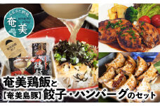 【奄美鶏飯】と【奄美島豚】餃子・ハンバーグのセット　A011-004