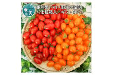 【2025年先行予約】＜化粧箱入/ギフト向け＞亜熱帯トマト「野生の証明」1.5kg　A021-001