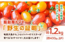 【2026年先行予約】亜熱帯トマト「野生の証明」約1.2kg（約400g×3P）　A021-002