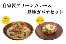 自家製グリーンカレー＆島豚ガパオセット　A129-002