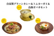 自家製グリーンカレー＆トムカーガイ＆島豚ガパオセット　A129-004