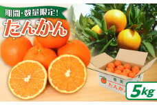 【2026年度先行予約】たんかん5kg　A021-027