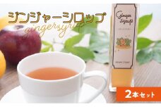 ジンジャーシロップ 2本セット　A006-007