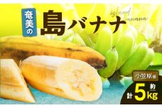 奄美の島バナナ（小笠原種）5kg　A052-001-02