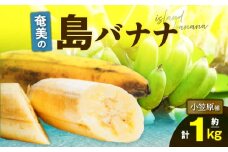 奄美の島バナナ（小笠原種）1房約1kg（約10本）　A052-001-01
