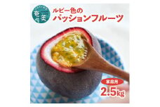 【2024年6月～出荷】ルビー色のトロピカルフルーツ、パッションフルーツ【家庭用】2.5kg　A052-010