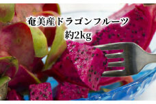 魅惑の南国フルーツ・奄美産ドラゴンフルーツ（ピタヤ）約2kg