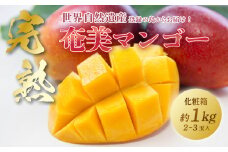 奄美大島産トロピカル完熟マンゴー 1kg（2～3玉）　A145-009