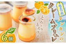 奄美産タンカンのクレームブリュレ（6個入り）　A071-001