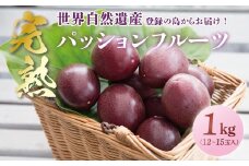 【2025年先行予約】《奄美大島産パッションフルーツ》家庭用1kg（12～15玉入り）　A145-004