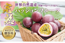 【2025年先行予約】《奄美大島産パッションフルーツ》贈答用化粧箱入り1kg（12玉入り）　A145-005