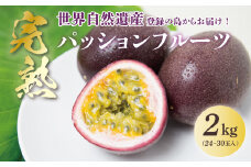 【2025年先行予約】《奄美大島産パッションフルーツ》家庭用2kg（24～30玉入り）　A145-006