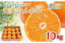 【2026年先行予約】【奄美大島産】おいしい完熟たんかん 光センサー選別 10kg　A145-003