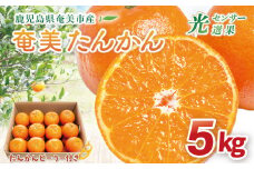 【2026年先行予約】【奄美大島産】おいしい完熟たんかん 光センサー選別 5kg　A145-002