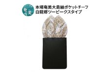 【ギフト用】本場奄美大島紬ポケットチーフ 白龍郷柄 ツーピークスタイプ　A018-006