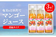 【お歳暮】奄美のとれたてマンゴージュース 3本セット - お歳暮 奄美大島 トロピカルフルーツ 果物 希釈 濃縮タイプ とれたて 酎ハイ・カクテルに お中元 お歳暮 贈答用におすすめ
