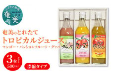 【お歳暮】奄美のとれたてジュース アソート3本セット（マンゴー・パッション・グァバ） - お歳暮 飲み比べ トロピカルフルーツ 果物 希釈 濃縮タイプ とれたて 酎ハイ・カクテルに お中元 お歳暮 贈答用