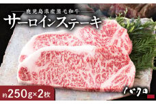サーロインステーキ 250g×2枚　A152-001