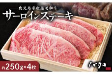 サーロインステーキ 1枚250g 4枚入り　A152-002