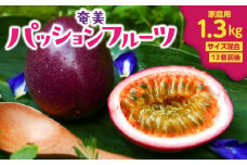 【2025年先行予約】奄美パッションフルーツ 1.3kg 家庭用（サイズ混合）（13個前後）　A135-002
