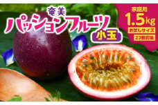 奄美パッションフルーツ 家庭用 1.5kg 小玉（23個前後）　A135-004