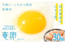 奄卵（あまらん）平飼い 有精卵 30個　A115-007