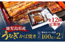 【全12回定期便】老舗うなぎ屋「三昌亭」の鹿児島県産うなぎかば焼き 100g×2セット　A040-T03