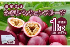 【2025年先行予約】かさりパッションフルーツ 贈答用 1kg（10～15個入り サイズ混在）　A072-001