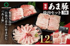 あま豚焼肉セット　A146-007