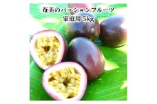 【2025年先行予約】奄美のパッションフルーツ 5kg　A041-002