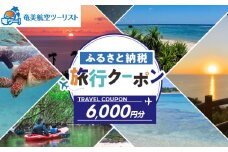 【奄美航空ツーリスト】ふるさと納税旅行クーポン6,000円　A179-FT002