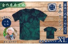 藍染Tシャツ 金作原原生林 XL　A178-004-07-04