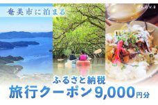 奄美市に泊まるふるさと納税旅行クーポン【9,000円分】　A184-003