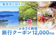 奄美市に泊まるふるさと納税旅行クーポン【12,000円分】　A184-004