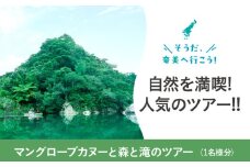 マングローブカヌーと森と滝のツアー　A183-002