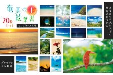 奄美の絵葉書20枚セット1（クリアケース入り）　A021-040