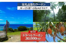 鹿児島県奄美市の対象施設で使えるJTA旅行クーポン（30,000円分）　A188-001