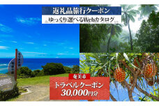 鹿児島県奄美市の対象施設で使えるJTA旅行クーポン（30,000円分）　A188-001