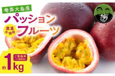 パッションフルーツ 家庭用 約1kg　A194-001-01