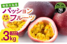 パッションフルーツ 家庭用 約3kg　A194-001-02