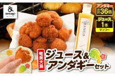奄美ジュース（マンゴー）＆アンダギーセット　A191-003-03
