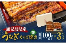 鹿児島県産！老舗うなぎ屋のうなぎのかば焼き3尾（並・100g以上×3パック）【贈答用】　A040-009-03
