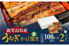 鹿児島県産！老舗うなぎ屋のうなぎのかば焼き2尾（並・100g以上×2パック）【ご自宅用】　A040-009-06