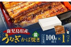 鹿児島県産！老舗うなぎ屋のうなぎのかば焼き1尾（並・100g以上×1パック）【ご自宅用】　A040-009-05