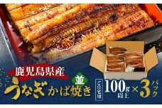 鹿児島県産！老舗うなぎ屋のうなぎのかば焼き3尾（並・100g以上×3パック）【ご自宅用】　A040-009-07